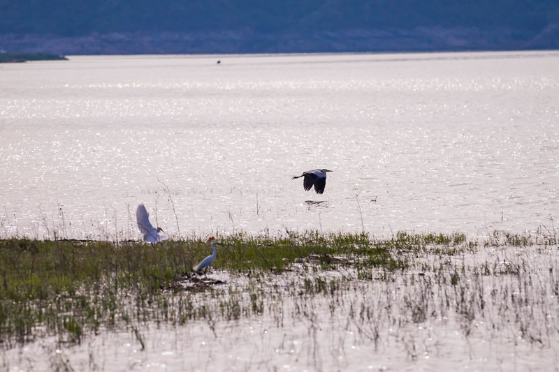 房車(chē)讓旅行與生活更美好 房車(chē)讓旅行與生活更美好